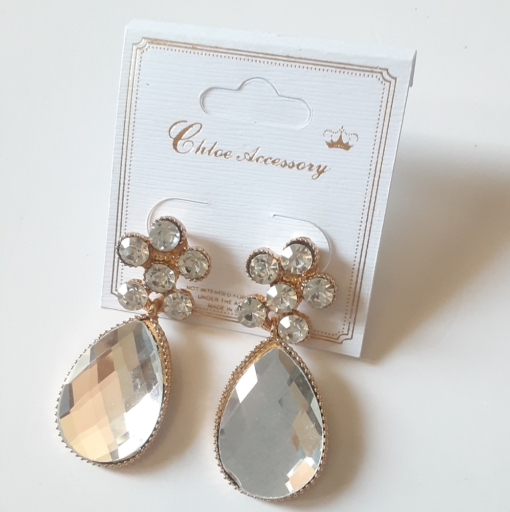 Chloe Accessory Fancy Dangle Earrings